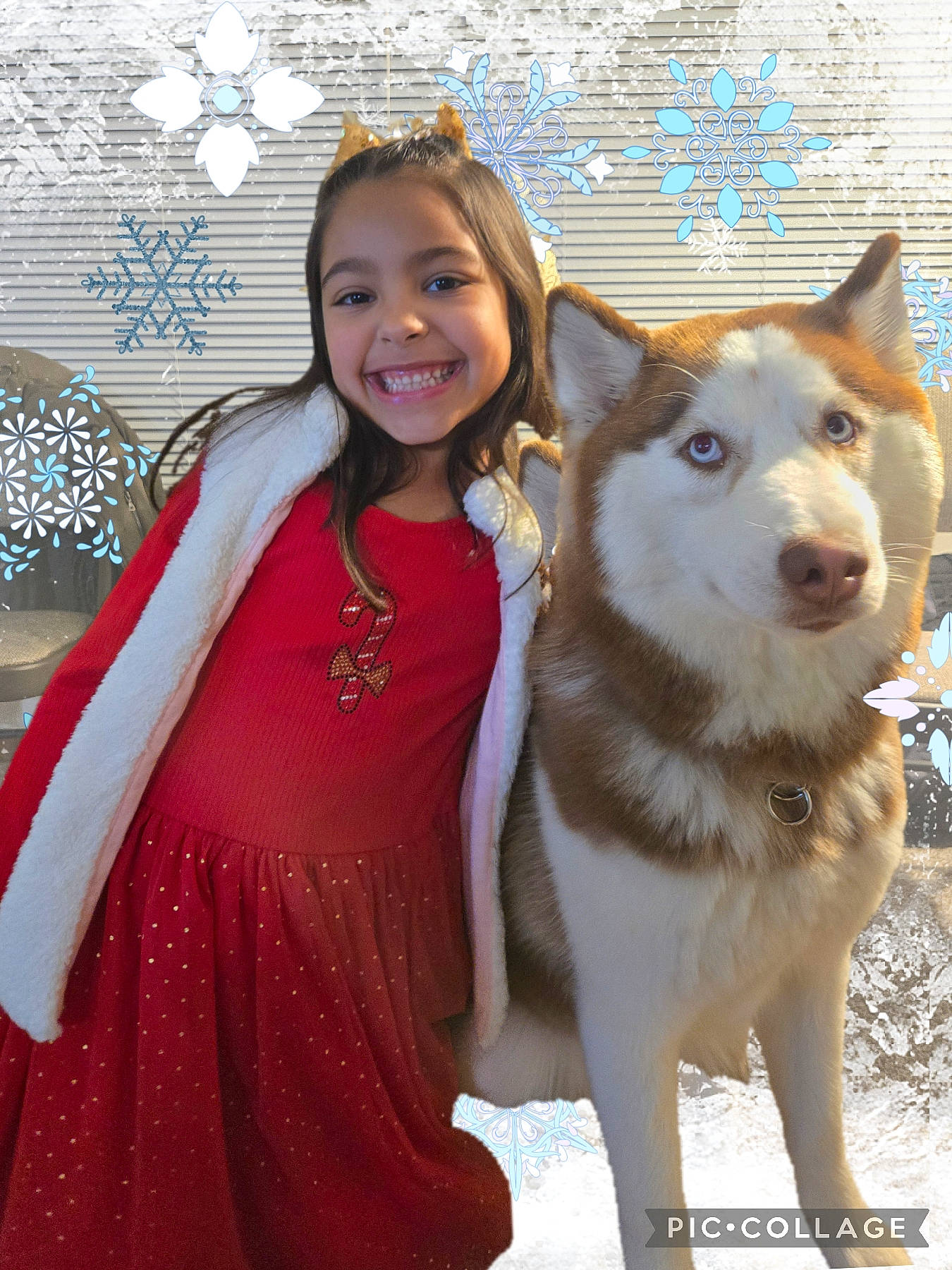Laura Sophia joined the competition — help win amazing prizes! animal, canine, child, clothing, costume, dog, dress, eskimodog, eveningdress, face, fashion, female, formalwear, girl, head, husky, person, pet, photography, portrait