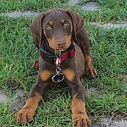 Flip is registered to the contest to win money with this photo: