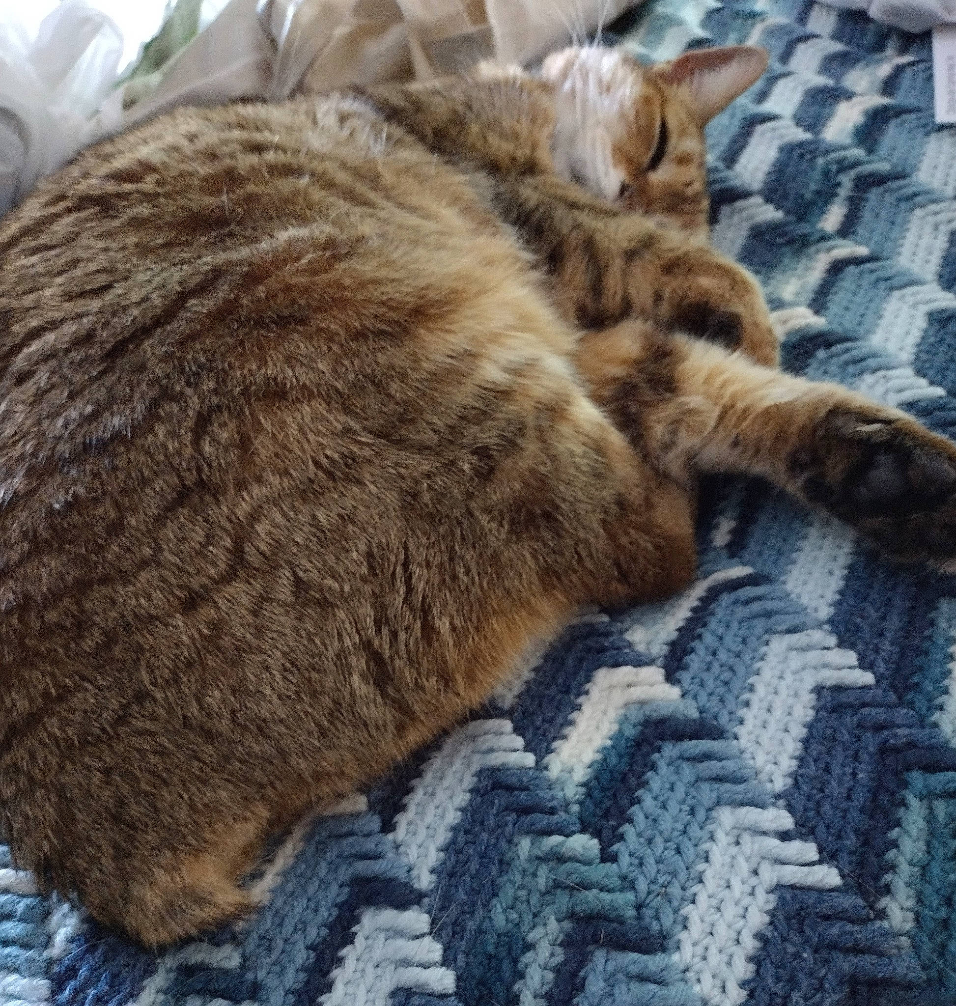 Minky