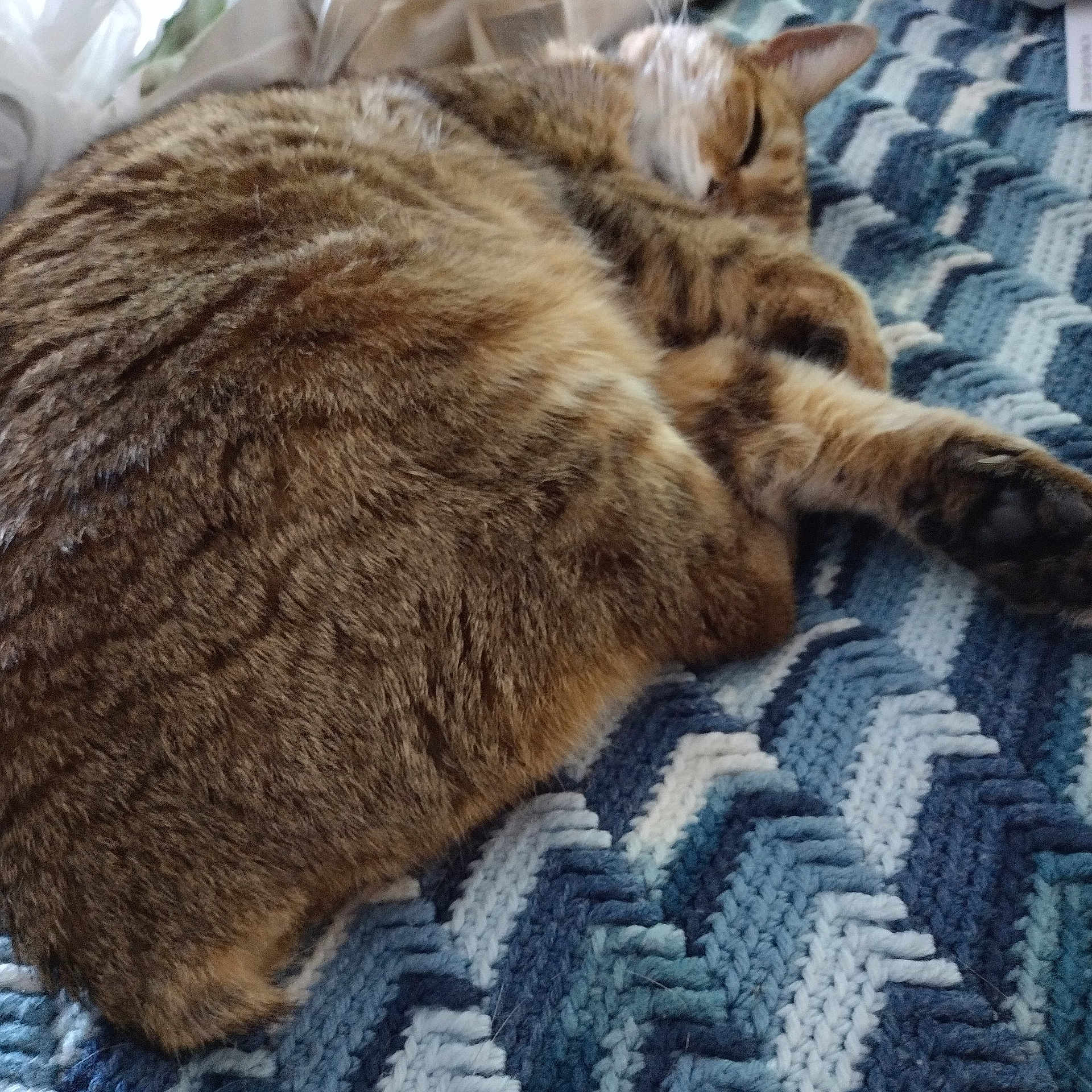 Minky