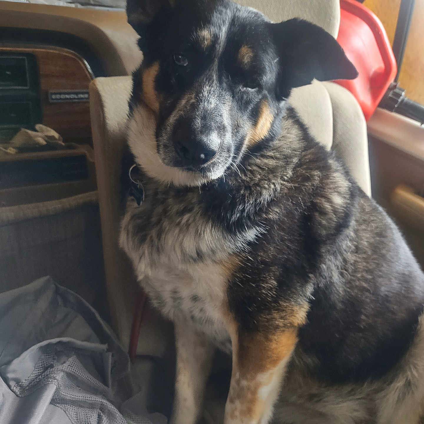 Penny