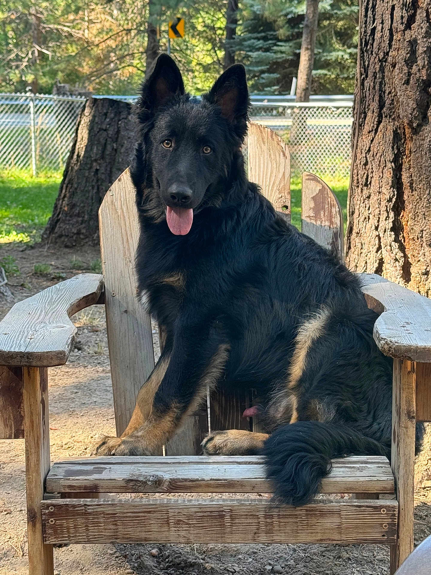 Diesel
