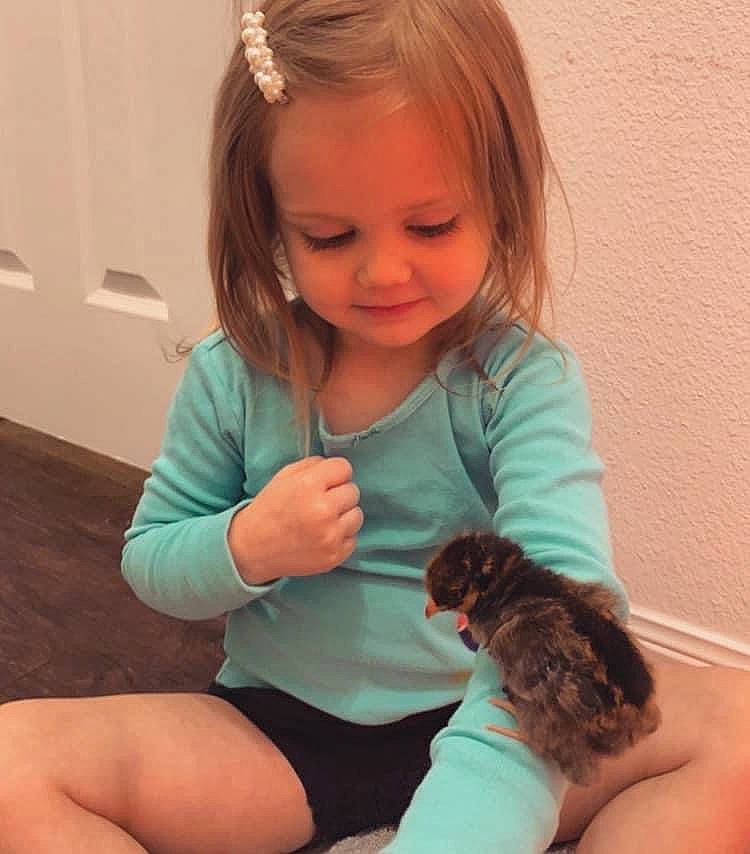 Emmy joined the competition — help win amazing prizes! arm, baby, brown_hair, canidae, child, ear, finger, hair, hand, labradoodle, leg, long_hair, neck, person, play, puppy, sitting, skin, thumb, toddler