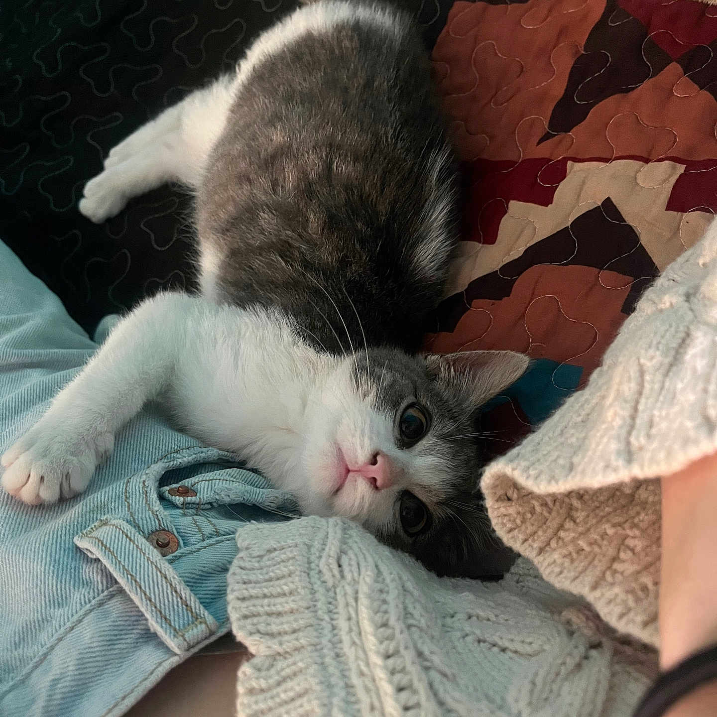Tilly