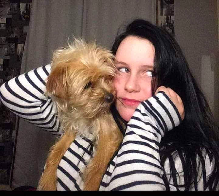 Daizy a rejoint le concours — aidez-le/la à gagner de superbes lots ! black_hair, blond, canidae, companion_dog, dog, dog_breed, fur, hair, hug, human, interaction, long_hair, love, nose, puppy_love, small_terrier, smile, terrier, toy_dog, yorkshire_terrier