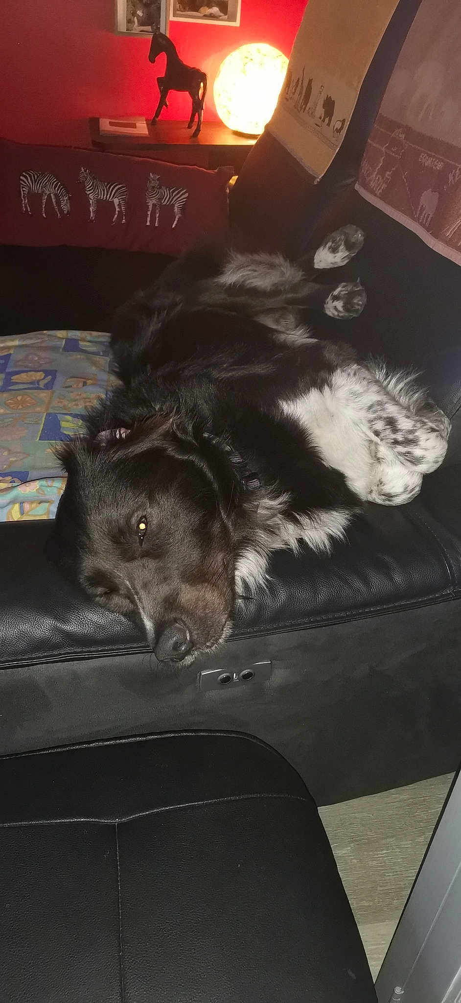 Loki