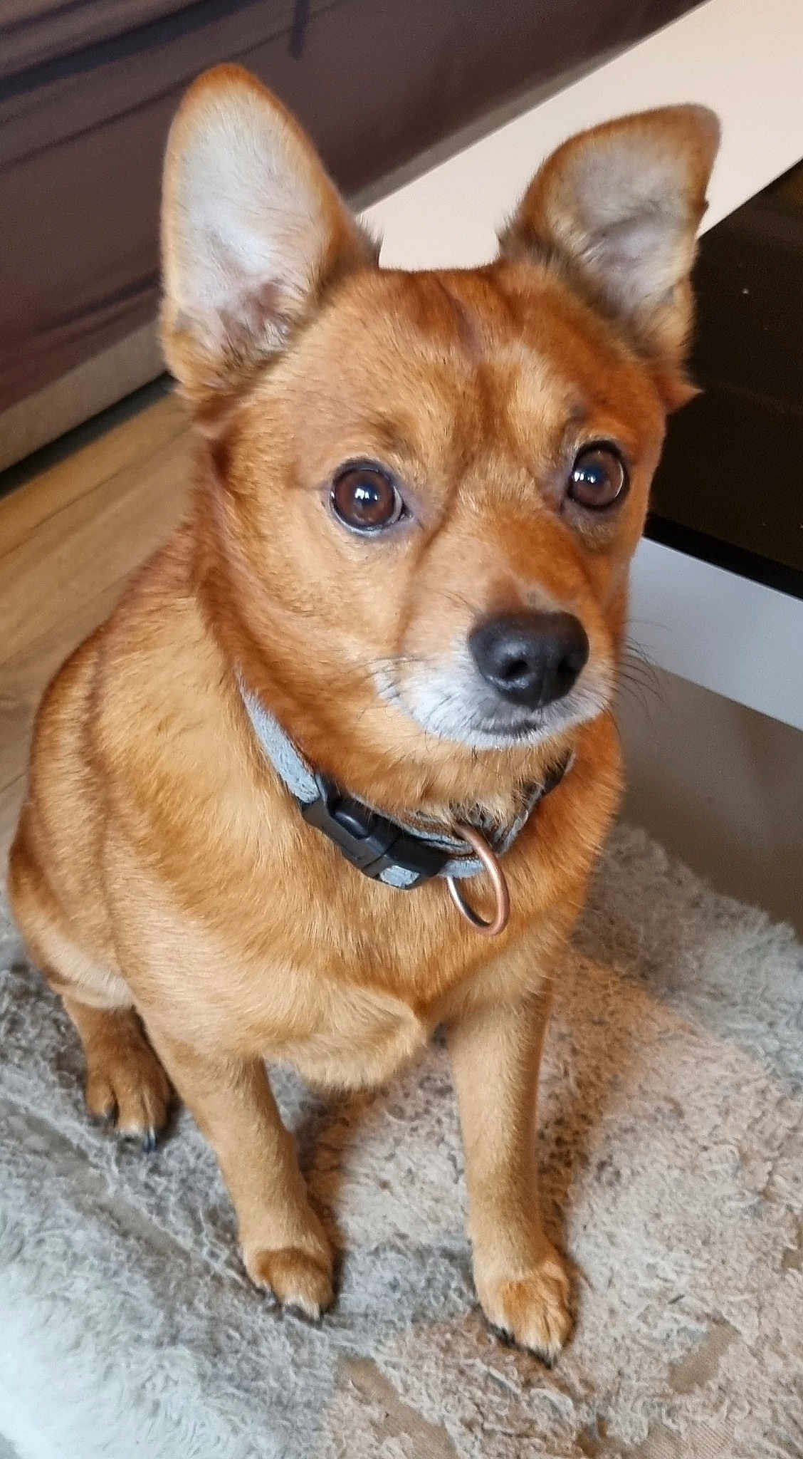 Heiko