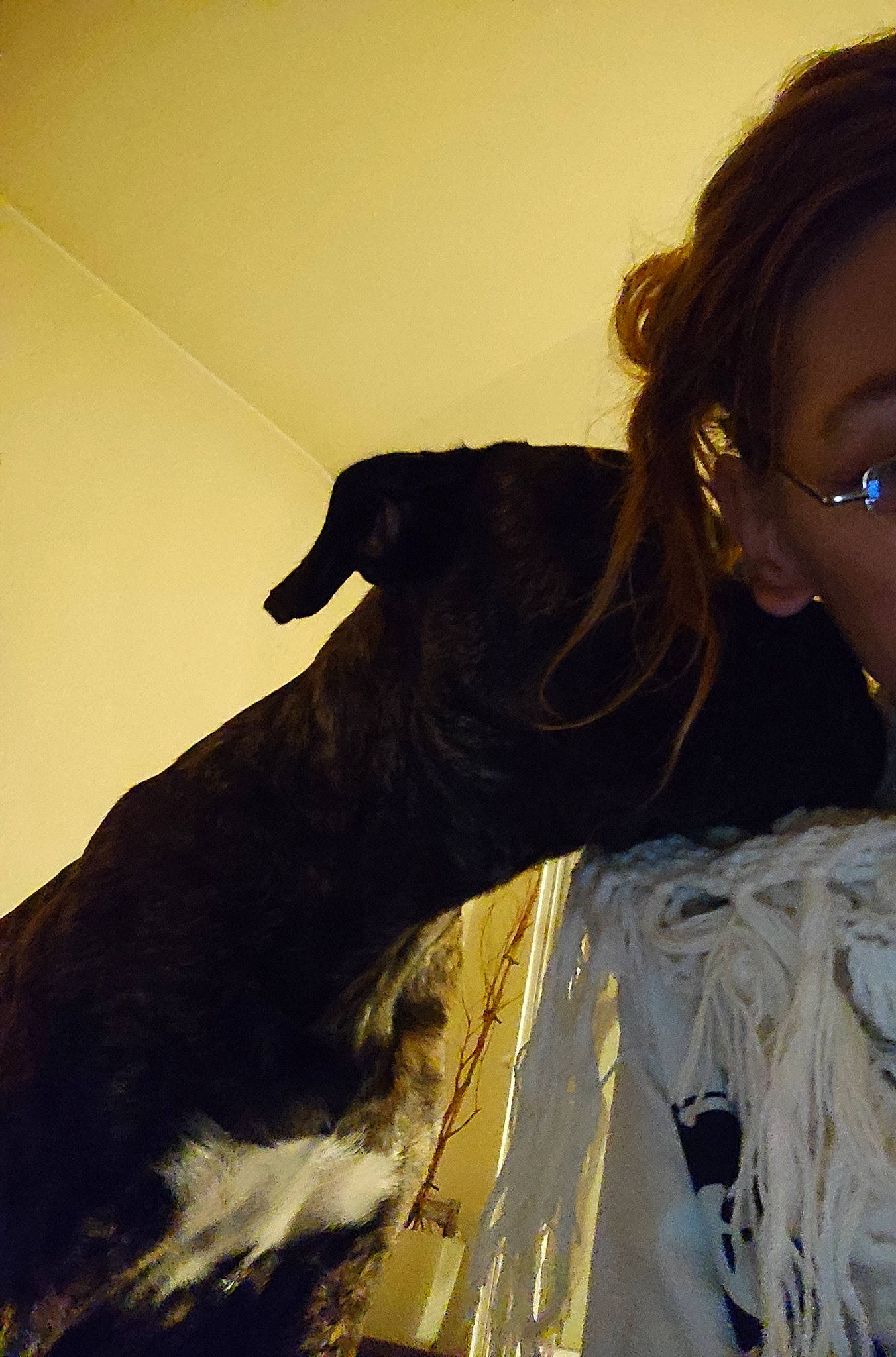 Ula participe au concours pour gagner de l'argent avec cette photo : art, carnivore, companion_dog, dog, dog_breed, eyewear, fashion_design, fawn, feather, fur, happy, selfie, shadow, sitting, sporting_group, sunglasses, surfer_hair, tints_and_shades, vision_care, working_animal