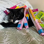 Buddy joined the competition — help win amazing prizes! cat, black_and_white, bedspread, snack_packages, leaf_pattern, indoor, relaxed, pet, animal, fur, whiskers, ears, laying_down, close_up, food_wrappers, soft_focus, curious, cozy, domestic_cat, resting