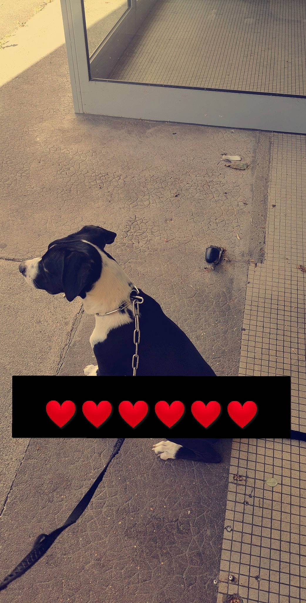 Masta a rejoint le concours — aidez-le/la à gagner de superbes lots ! art, shadow, street_art, visual_arts