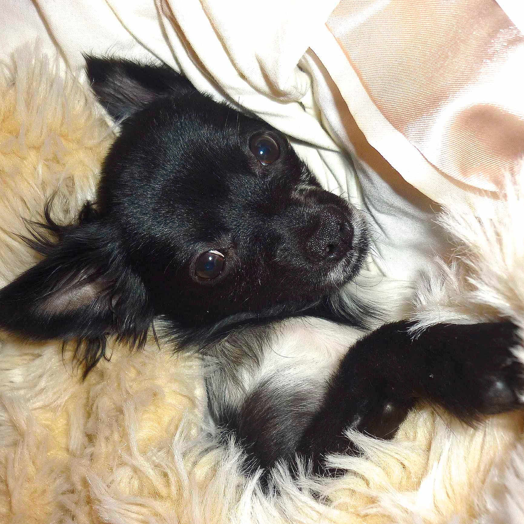 Ruben is registered to the contest to win money with this photo: