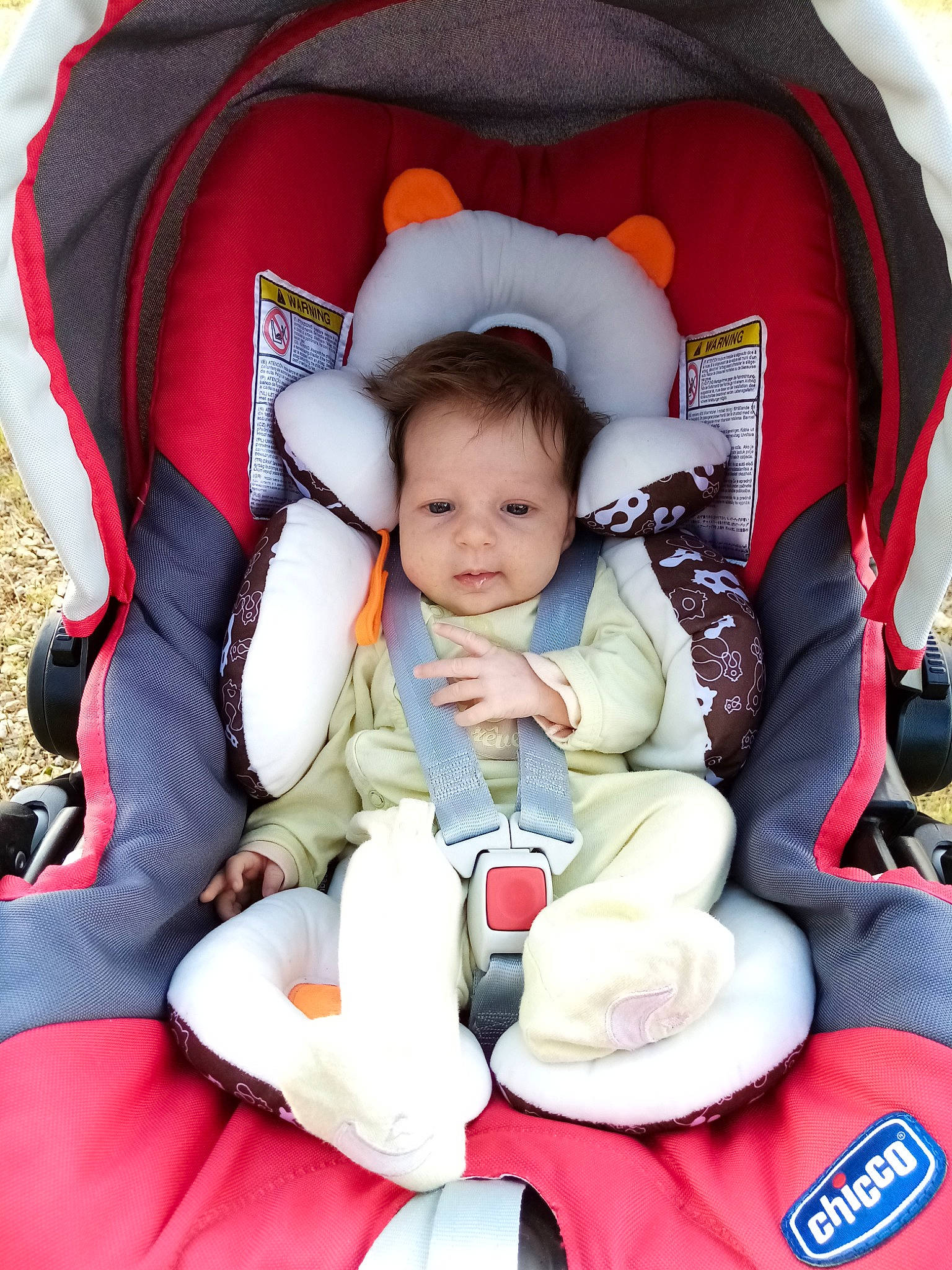 Paola participe au concours pour gagner de l'argent avec cette photo : baby, baby_carriage, baby_in_car_seat, baby_products, car_seat, child, comfort, person, product, toddler