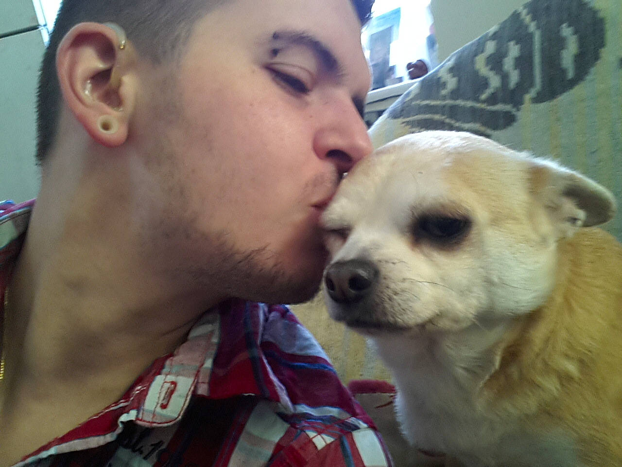 Pépito participe au concours pour gagner de l'argent avec cette photo : beard, canidae, carnivore, companion_dog, cool, dog, dog_breed, ear, eye, eyewear, fawn, fun, happy, kiss, mouth, nose, skin, snout, sporting_group, toy_dog