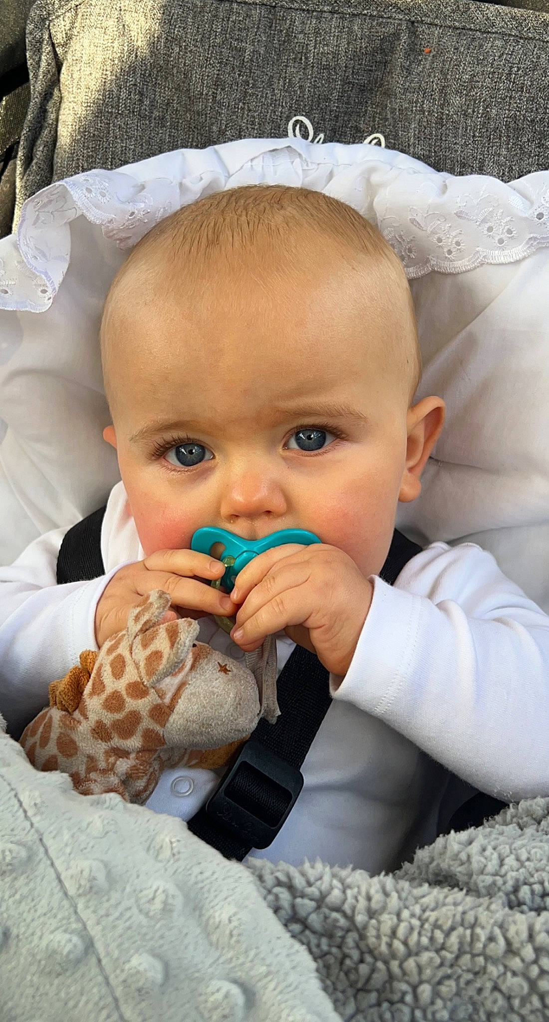 Scot-tony joined the competition — help win amazing prizes! baby, baby_toddler_clothing, beauty, cheek, child, comfort, facial_expression, finger, gesture, happy, human, linens, nail, nose, person, sitting, skin, stuffed_toy, textile, thumb