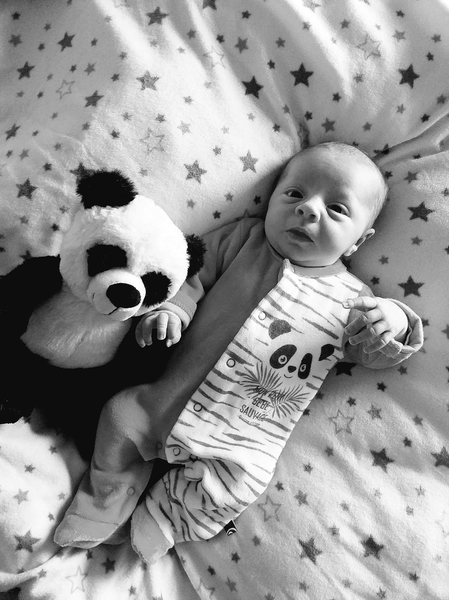 Charles a rejoint le concours — aidez-le/la à gagner de superbes lots ! baby, baby_toddler_clothing, black, black_and_white, carnivore, comfort, facial_expression, happy, mammal, monochrome, monochrome_photography, organ, panda, pattern, person, photograph, style, toddler, toy, vertebrate