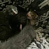 June joined the competition — help win amazing prizes! animal, blanket, cat, cozy, cute, feline, fur, indoor, kitten, newborn, pattern, pet, pile, resting, sleeping, small, snuggle, soft, warm, young