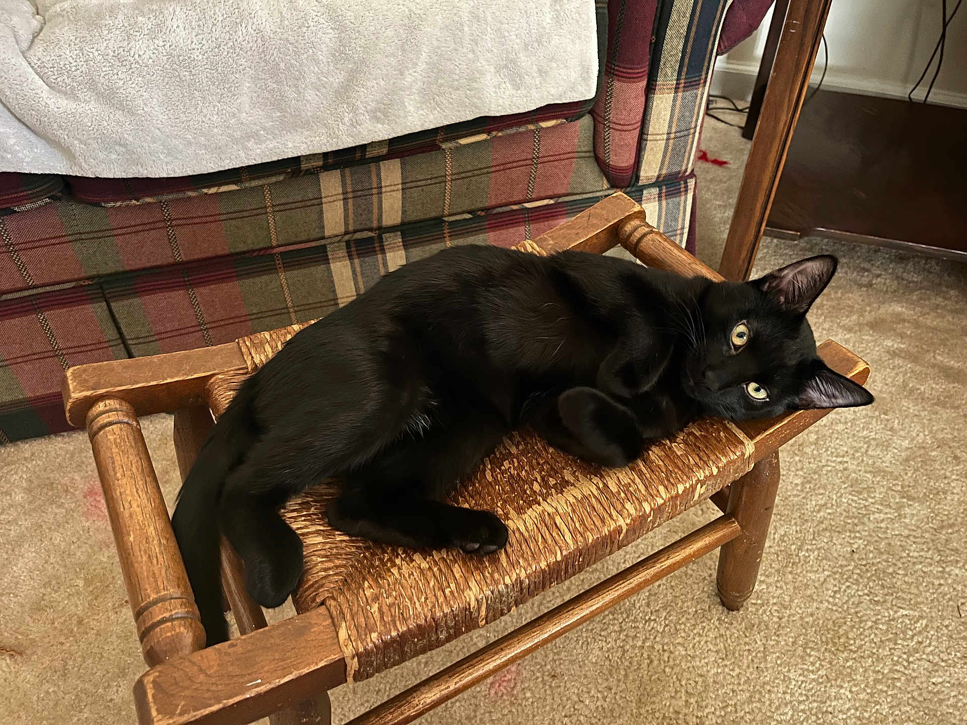 Jasper