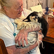 Joannie is registered to the contest to win money with this photo: elderly_woman, dog, indoor, affection, pet, holding, white_hair, casual_clothing, wooden_chair, table, curtains, home, seated, long_hair, small_dog, comfort, love, human, animal, relaxation