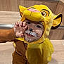 child, costume, face_paint, yellow, lion, playful, smile, hand, stairs, wood, brown_clothing, hood, ears, cute, indoor, portrait, fun, expression, animal_costume, young