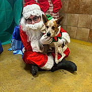 Buddy Boy joined the competition — help win amazing prizes! person, dog, santa_claus_costume, christmas_stockings, holiday, indoor, brick_wall, tiled_wall, yellow_floor, festive, glasses, white_beard, red_clothing, green_costume, elf_costume, pet, seated, looking_at_camera, decorations, floor
