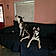 Bella And Husky