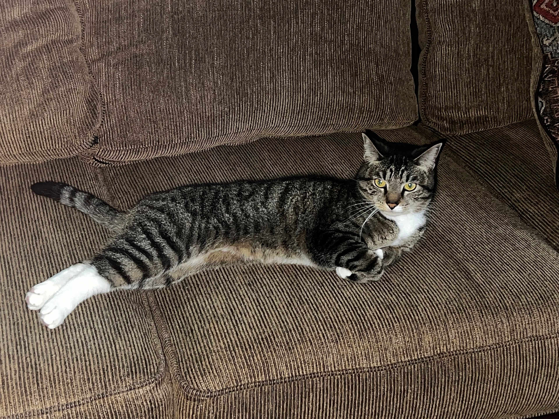 Jerry