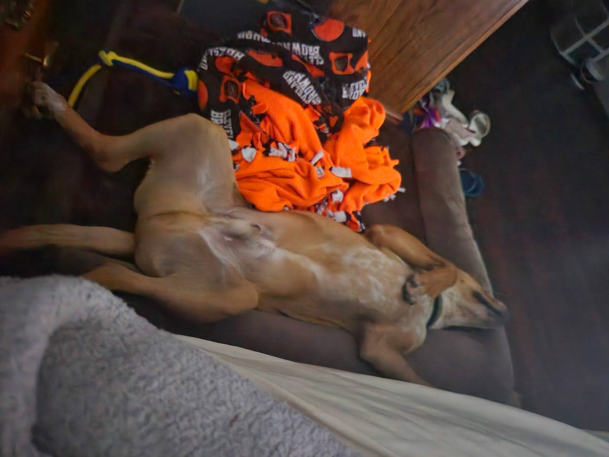 Stokes joined the competition — help win amazing prizes! abdomen, art, barechested, carving, chest, comfort, fawn, fiction, fictional_character, flesh, human_body, human_leg, mythology, room, sculpture, statue, toy, trunk, visual_arts, wood