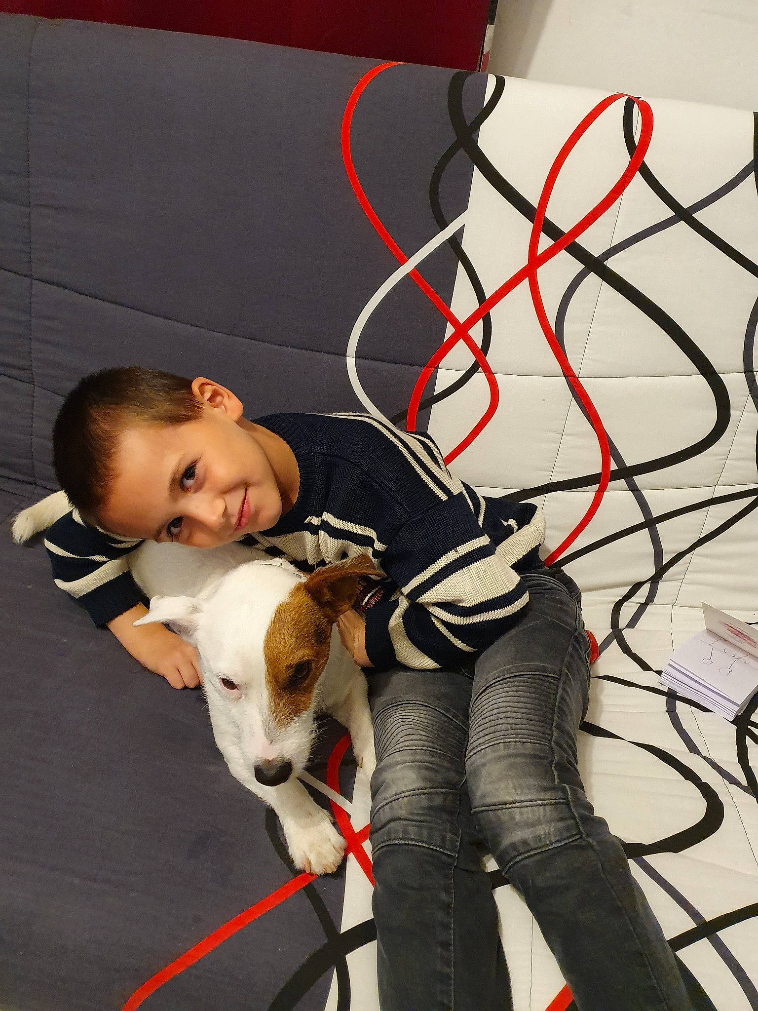 Snowy a rejoint le concours — aidez-le/la à gagner de superbes lots ! canidae, carnivore, dog, dog_breed, fawn, leash