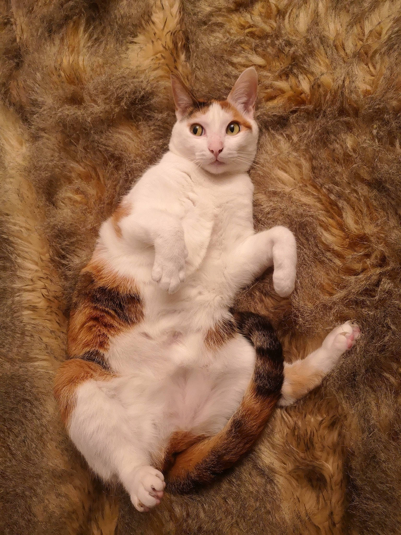 Praline