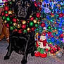 dog, black_labrador, christmas_wreath, christmas_tree, holiday_decorations, ornaments, lights, festive, carpet, indoor, stuffed_snowman, red, green, gold, sparkle, holiday, pet, animal, cute, waiting