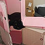 animal, black_cat, cardboard_box, cat, cozy, cubical, curious, cute, domestic, feline, floor_pattern, furniture, home, indoor, peeking, pet, pink, playful, soft_lighting, storage_cube