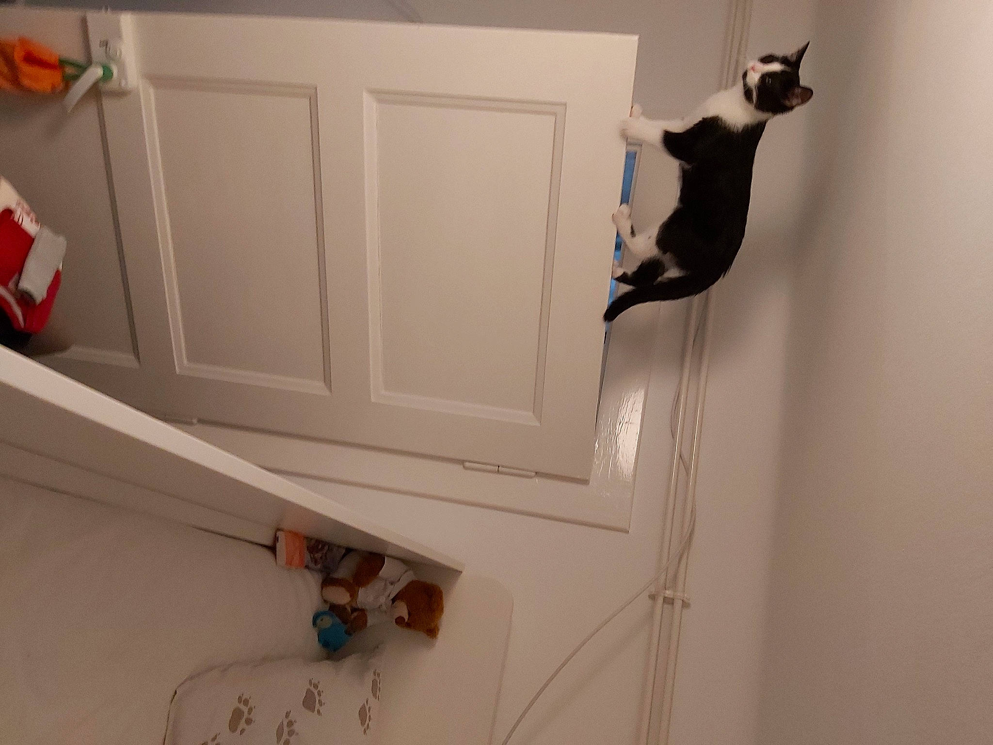 Fauve participe au concours pour gagner de l'argent avec cette photo : balance, ceiling, door, door_handle, elbow, event, flooring, grey, hardwood, home_door, house, interior_design, molding, plaster, room, shelving, wall, white, window, wood