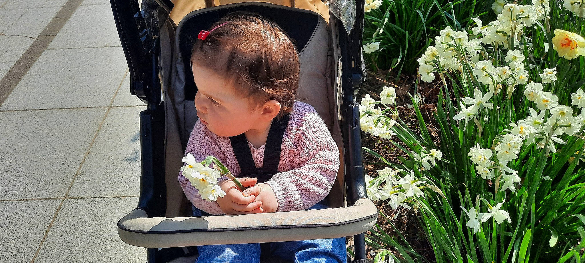 Anna participe au concours pour gagner de l'argent avec cette photo : annual_plant, baby, baby_products, chair, child, eye, flower, fun, grass, hairstyle, happy, leaf, leisure, organ, people_in_nature, person, plant, sitting, spring, terrestrial_plant
