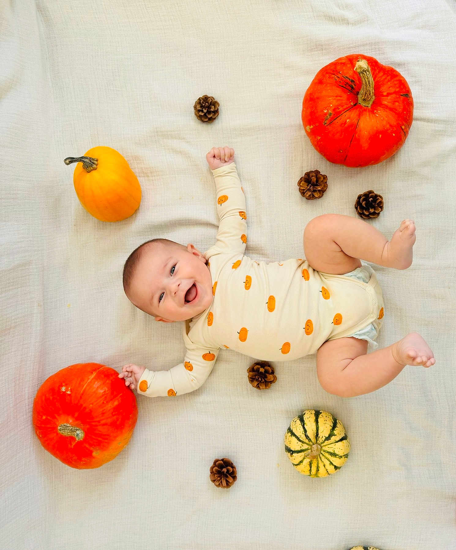 Isaö a rejoint le concours — aidez-le/la à gagner de superbes lots ! baby, infant, smiling, lying_down, pumpkin, pine_cone, blanket, autumn, cute, onesie, orange, yellow, white_background, happy, child, seasonal, holiday, fall, person, decor