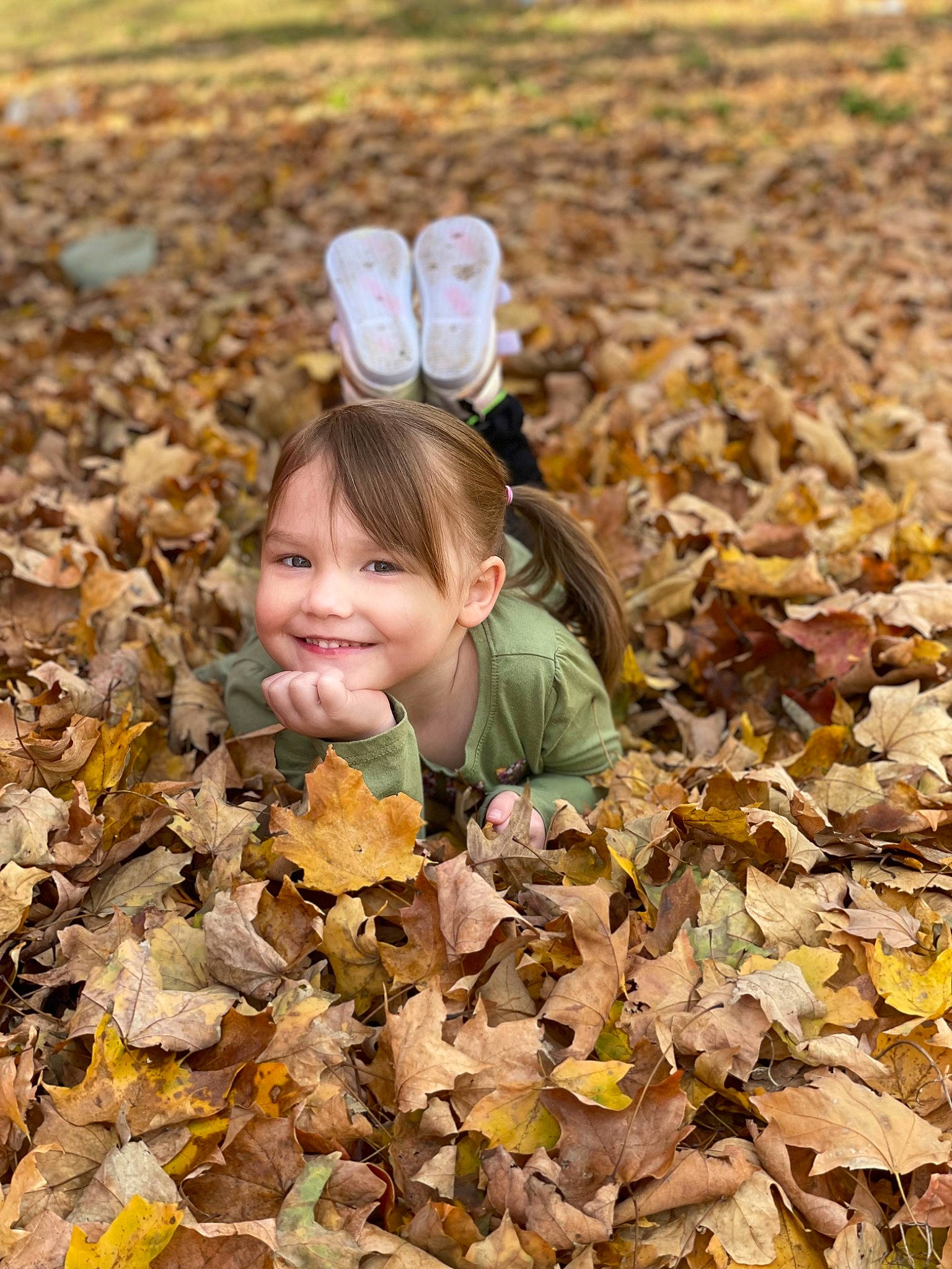 Annie is registered to the contest to win money with this photo: adaptation, autumn, child, deciduous, face, fun, grass, happy, joy, landscape, leaf, natural_environment, natural_landscape, people_in_nature, person, plant, smile, soil, toddler, trunk