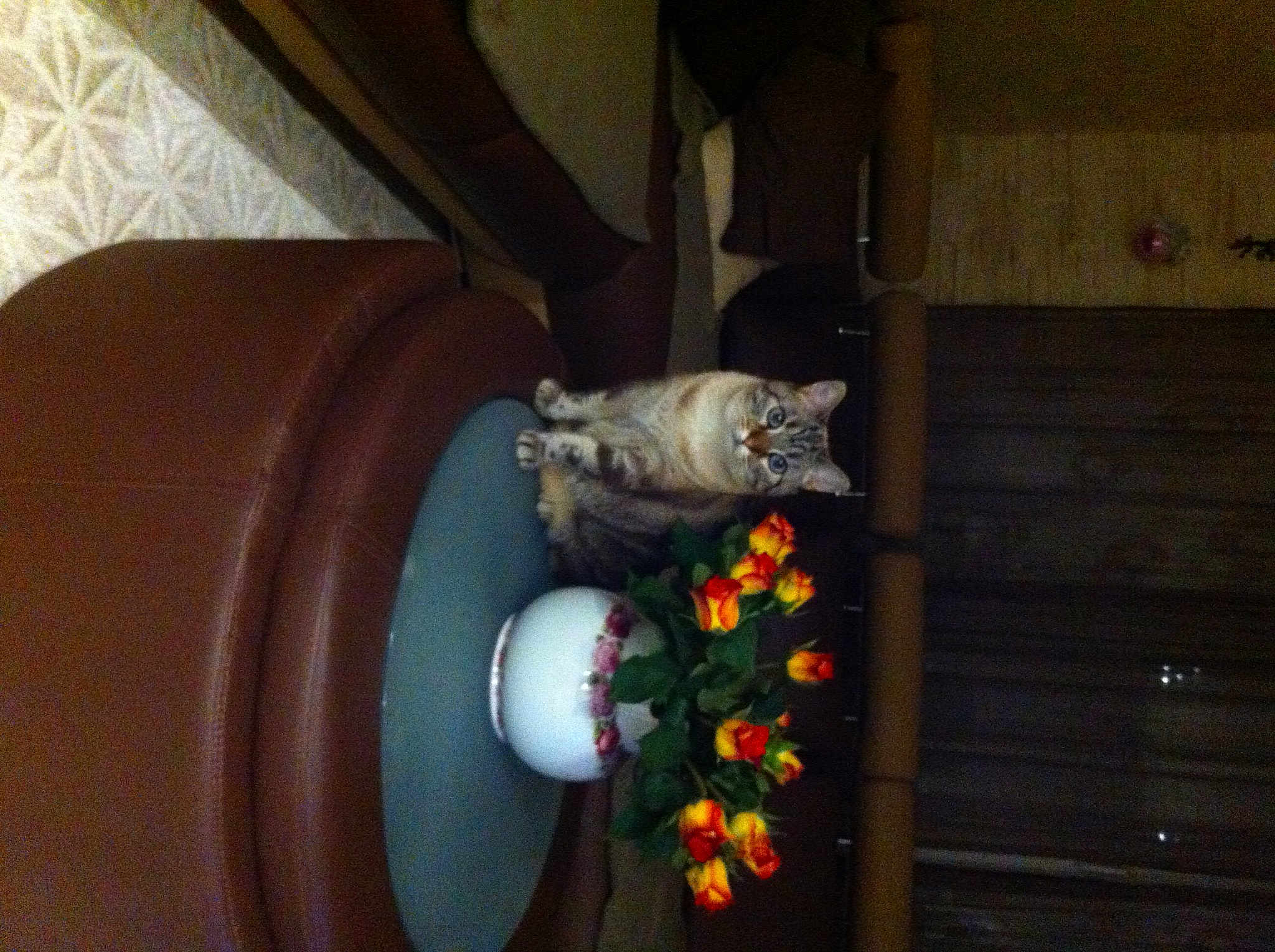 Izzie