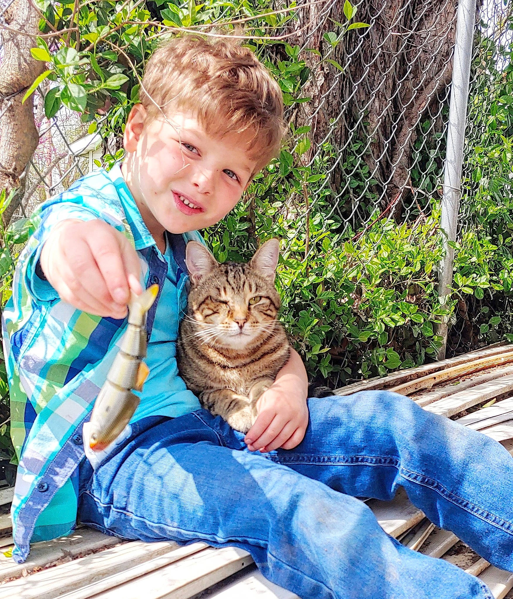 Preston is registered to the contest to win money with this photo: asian, carnivore, cat, child, european_shorthair, eye, fawn, felidae, joy, person, play, rabbit, sitting, small_to_medium_sized_cats, tabby_cat, toddler, whiskers