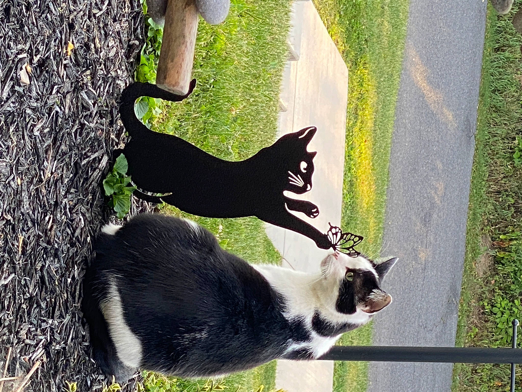 Snoopy joined the competition — help win amazing prizes! carmine, carnivore, companion_dog, dog_breed, felidae, fur, grass, green, human_leg, line, plant, shadow, small_to_medium_sized_cats, snout, sporting_group, tail, terrestrial_animal, tree, whiskers, window