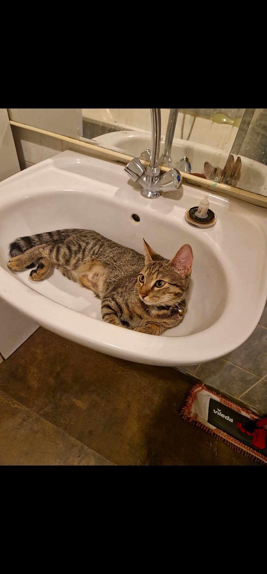 Mimi