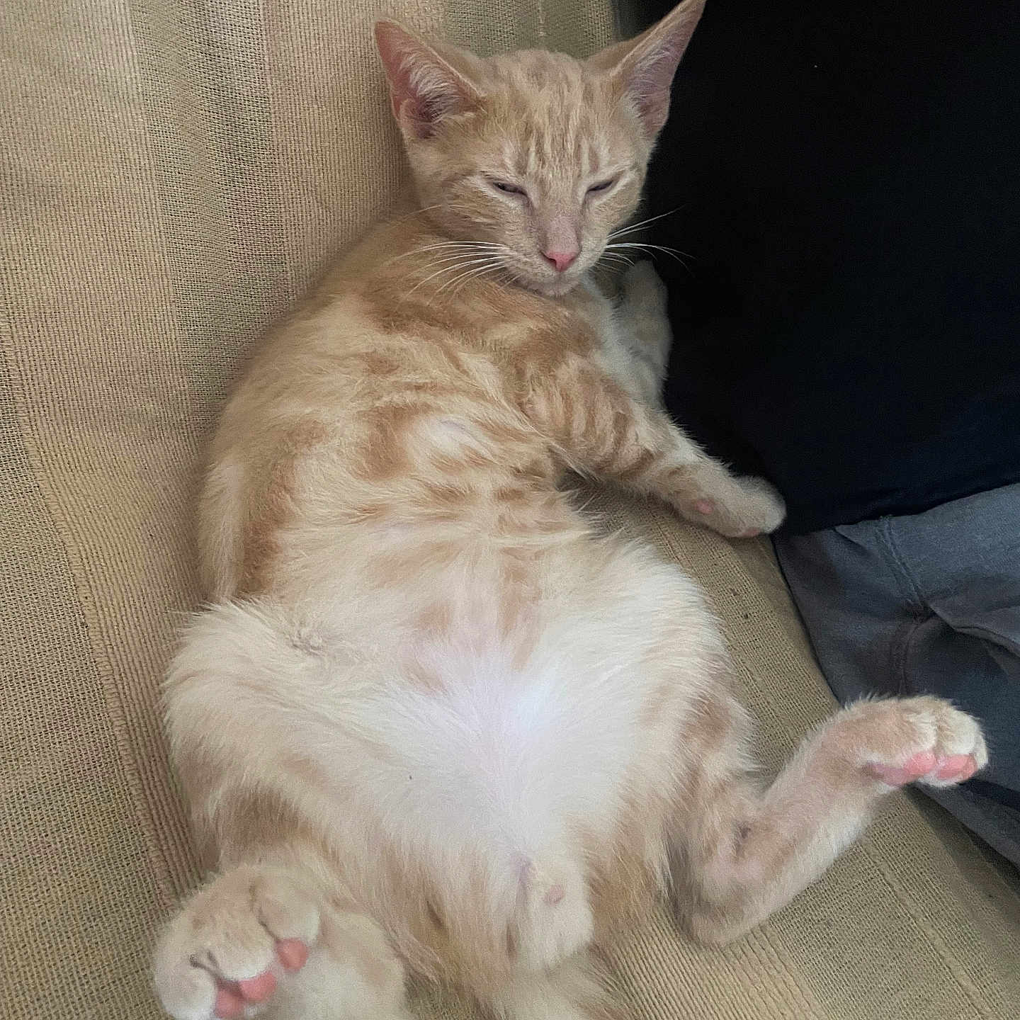 Winnie