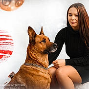 Caline participe au concours pour gagner de l'argent avec cette photo : woman, dog, brown_dog, black_dress, sitting, portrait, indoor, holiday_decor, red_ornament, white_background, chain_collar, long_hair, calm, friendly, pet, companion, festive, smile, posing, warm_lighting