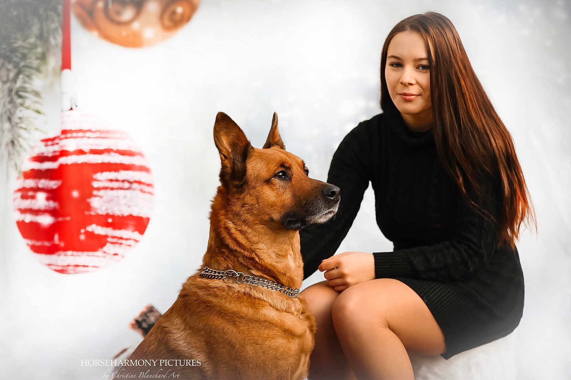 Caline participe au concours pour gagner de l'argent avec cette photo : woman, dog, brown_dog, black_dress, sitting, portrait, indoor, holiday_decor, red_ornament, white_background, chain_collar, long_hair, calm, friendly, pet, companion, festive, smile, posing, warm_lighting