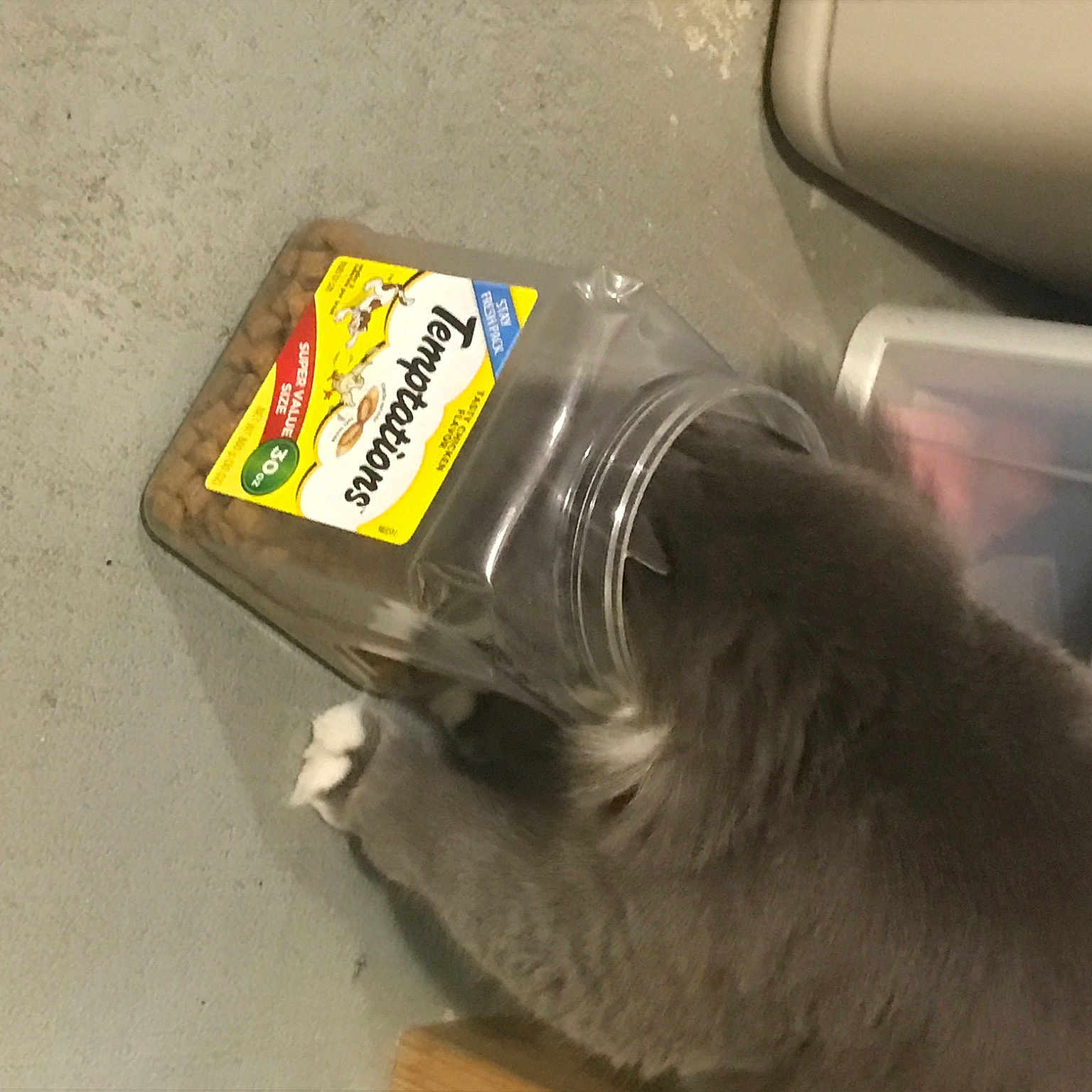 Mittens