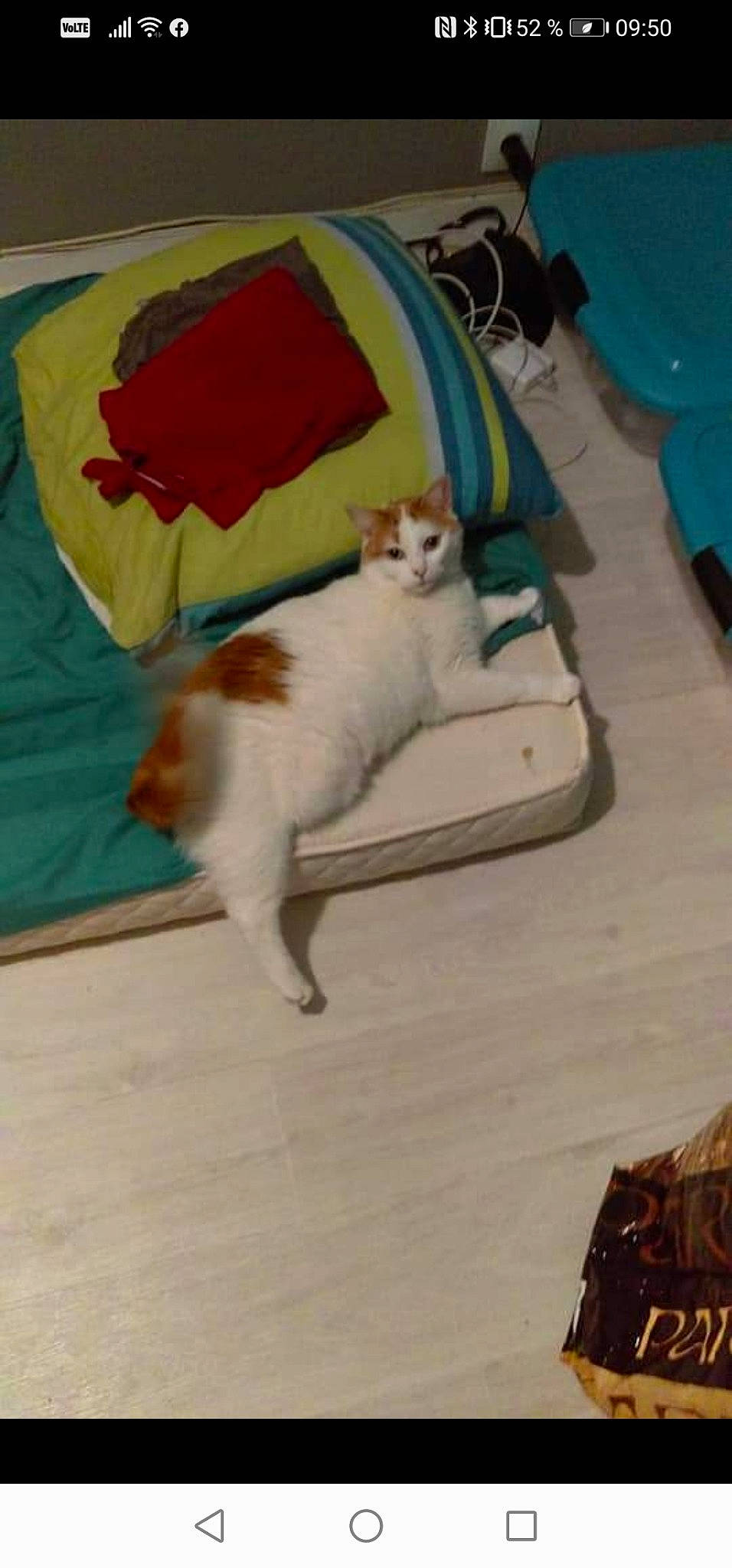Chouquette