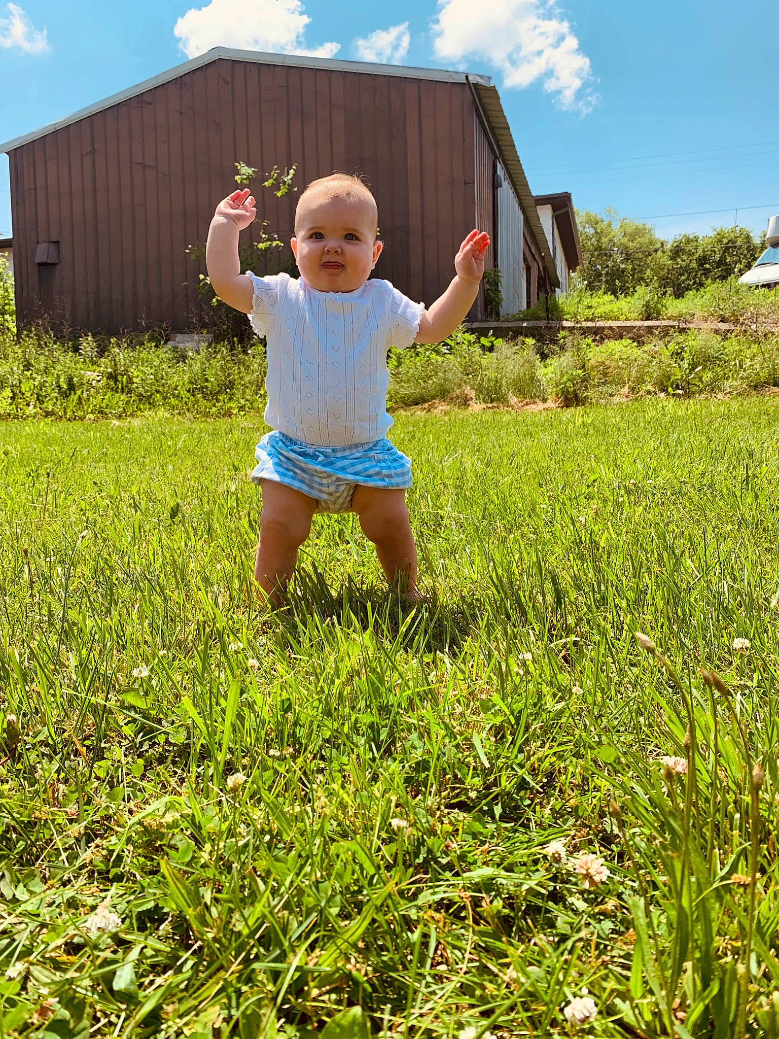 Chevelle joined the competition — help win amazing prizes! agriculture, cloud, grass, grass_family, grassland, happy, leisure, meadow, natural_landscape, people_in_nature, person, plant, prairie, rural_area, shorts, sky, standing, summer, t_shirt, toddler