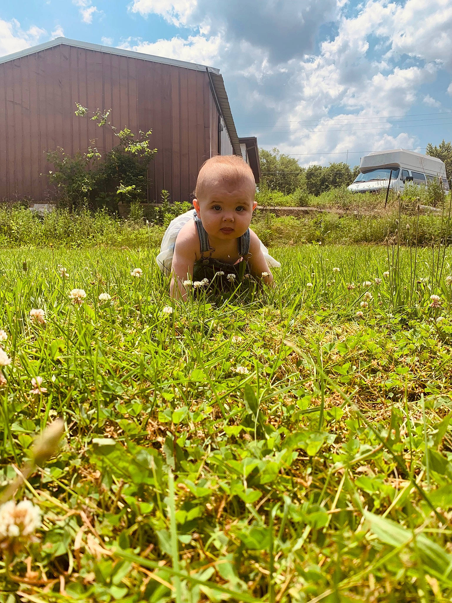 Chevelle joined the competition — help win amazing prizes! agriculture, baby, baby_toddler_clothing, cloud, field, grass, grass_family, grassland, groundcover, happy, landscape, leaf, meadow, natural_landscape, people_in_nature, person, plant, rural_area, sky, toddler