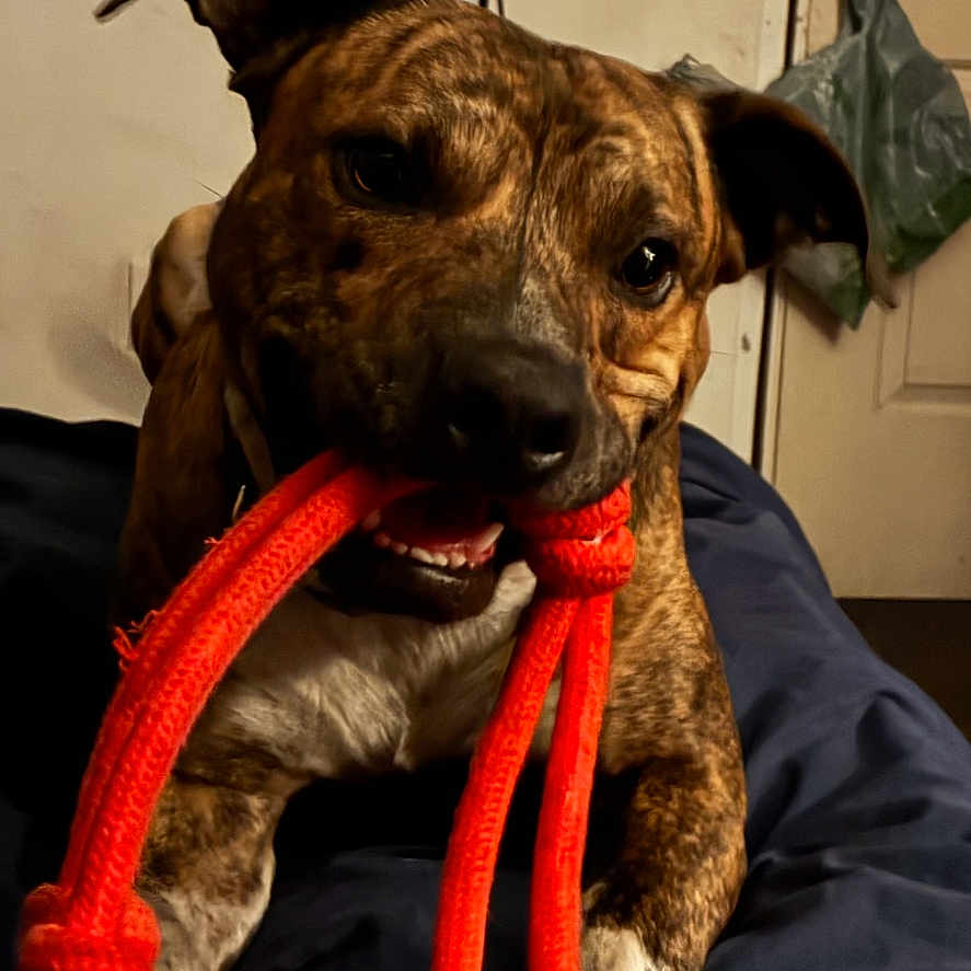 Max