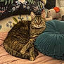 blanket, cat, comfort, cozy, cushion, domestic_animal, elephant_toy, feline, floral_pattern, fur, green_eyes, indoor, pet, pillow, plush_toy, relaxed, resting, soft_texture, striped_fur, tabby_cat
