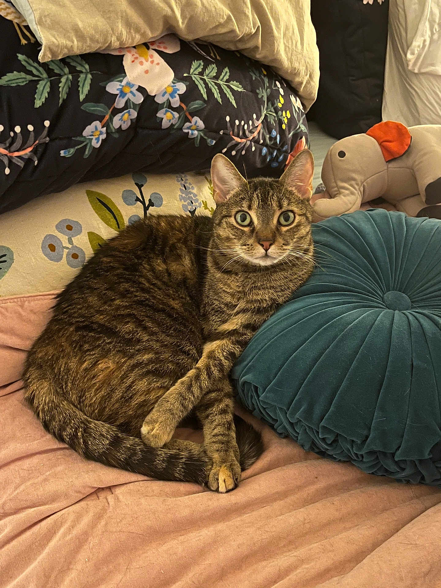 Lilo
