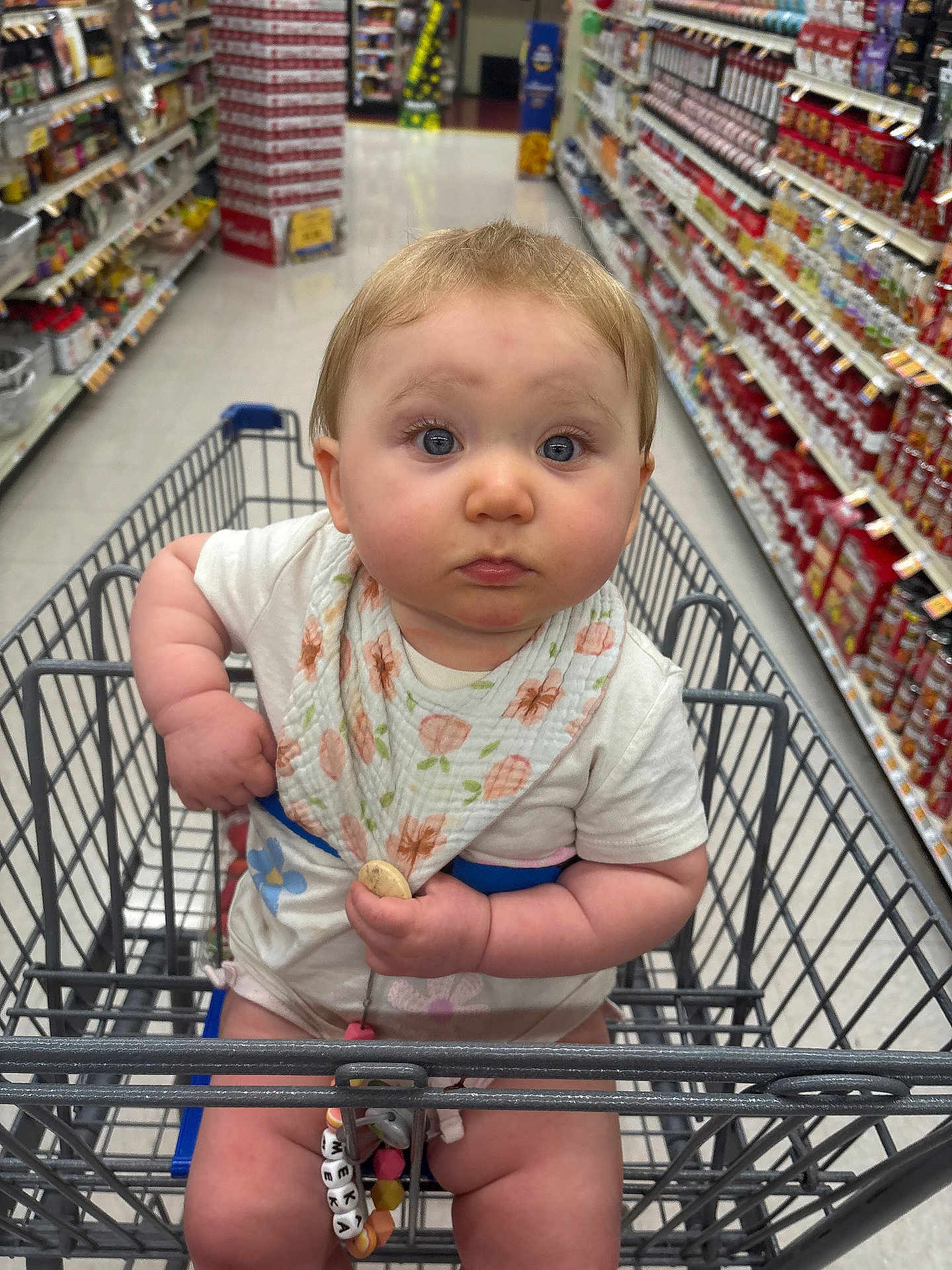 Meka is registered to the contest to win money with this photo: baby, shopping_cart, grocery_store, aisle, toy, bib, clothing, child, chubby_cheeks, seated, person, supermarket, face, curious, indoor, retail, food, shopping, cute, infant